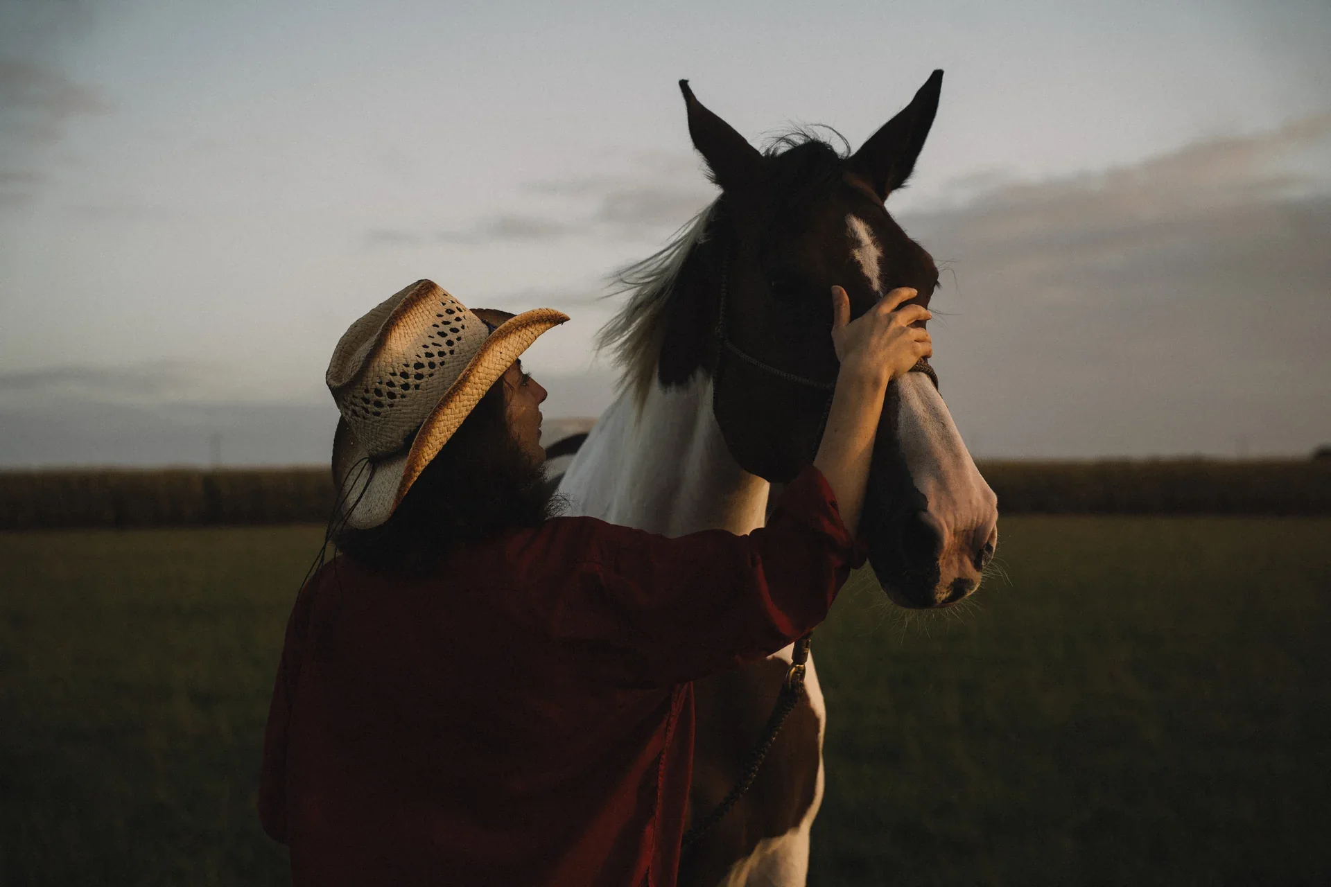 Une femme caresse son cheval dans la lumière du soir
