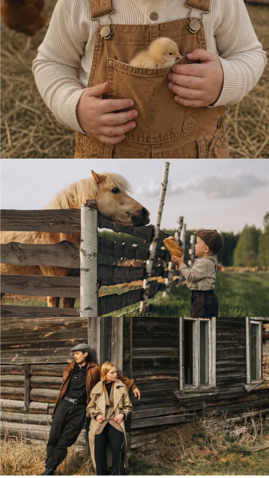 Inspiration pour À la campagne