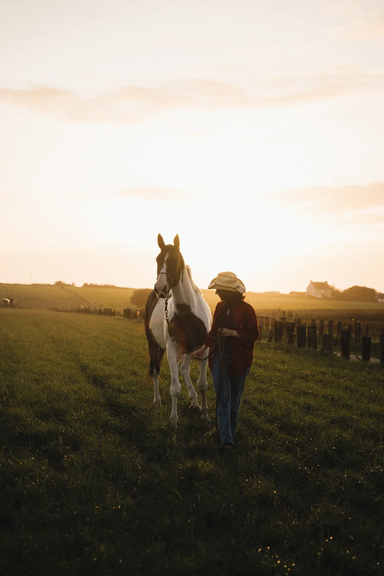 Une promenade avec un cheval dans un champ baigné de soleil