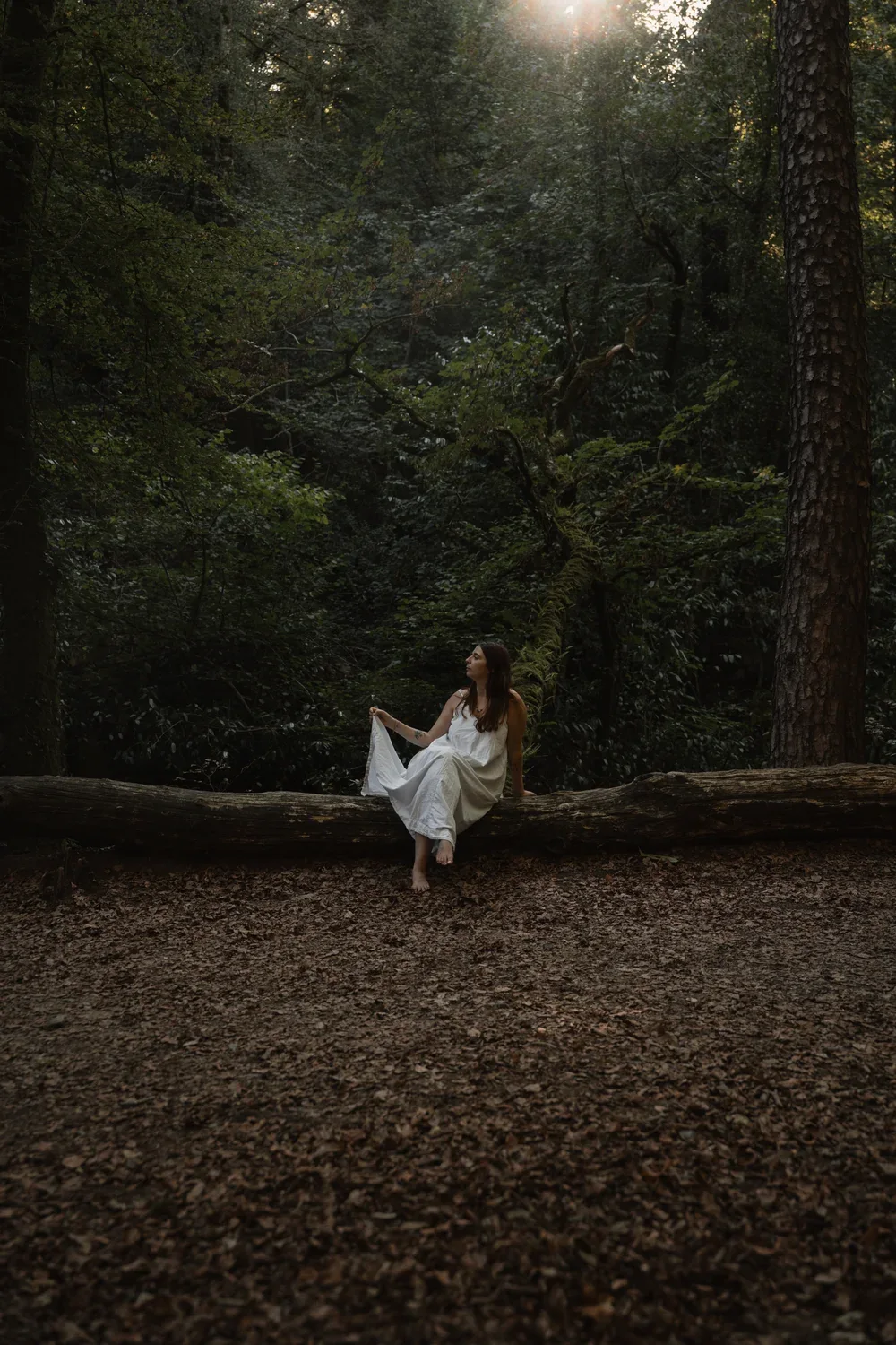 Portrait en robe blanche dans un sous-bois